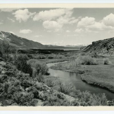 Print, Photographic
