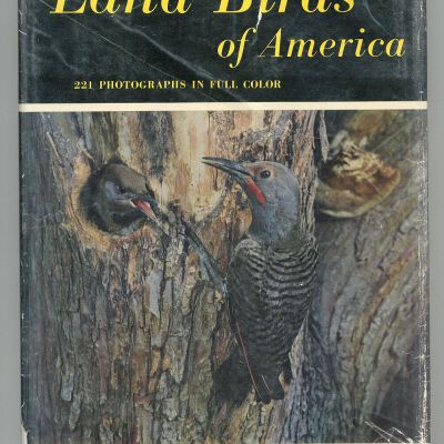 Land Birds of America