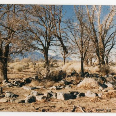 Print, Photographic