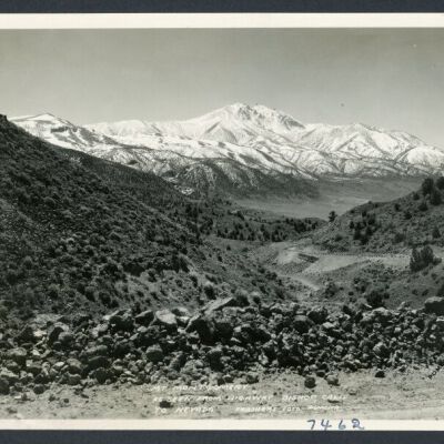Print, Photographic