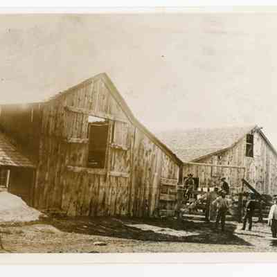 Print, Photographic