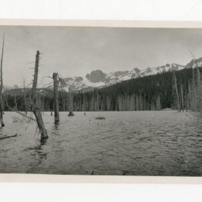 Print, Photographic