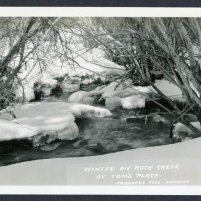 Print, Photographic