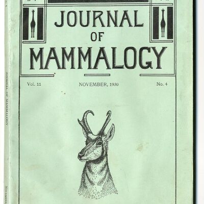 Journal of Mammalogy, Vol. 11, No. 4, November 1930