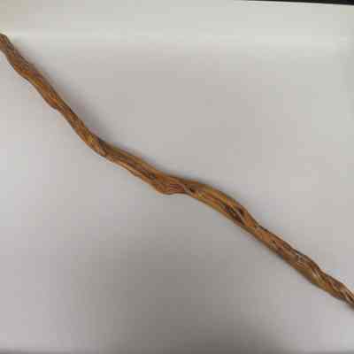 Cane