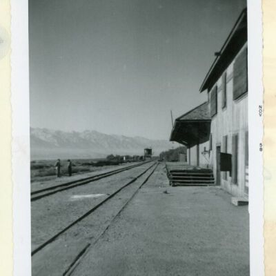 Print, Photographic