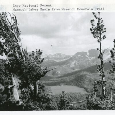 Inyo National Forest