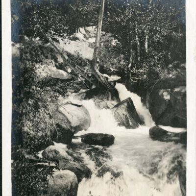 Print, Photographic