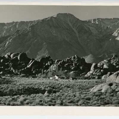 Print, Photographic