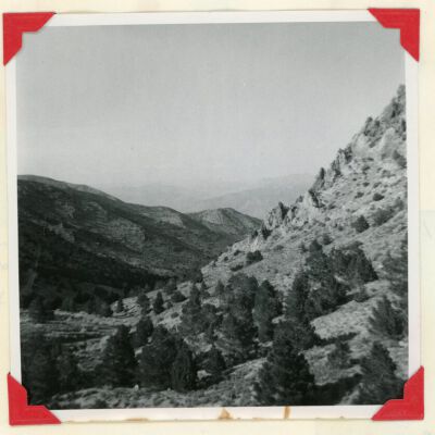 Print, Photographic