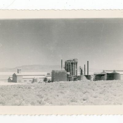 Print, Photographic