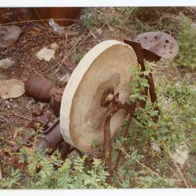 Print. Photographic