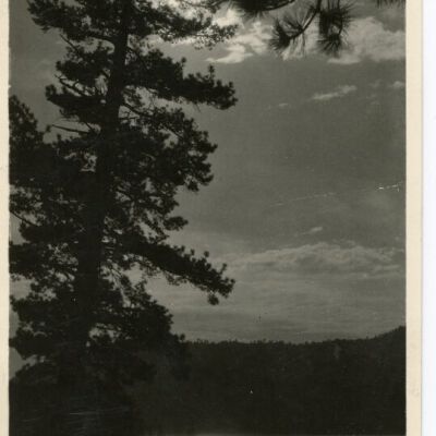 Print, Postcard