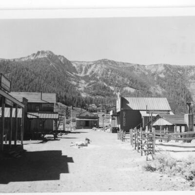 Print, Photographic
