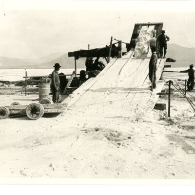 Print, Photographic