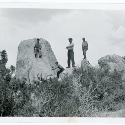 Print, Photographic
