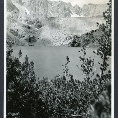 Print, Photographic