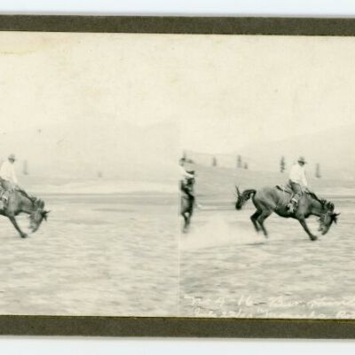 Monache Rodeo