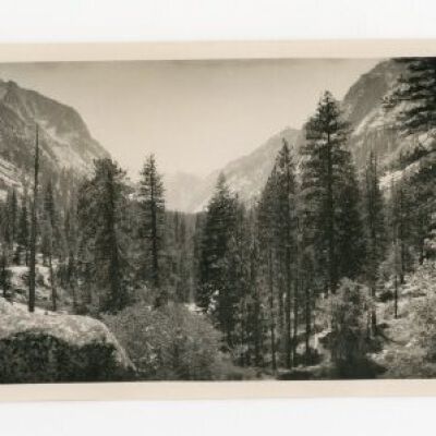 Print, Photographic