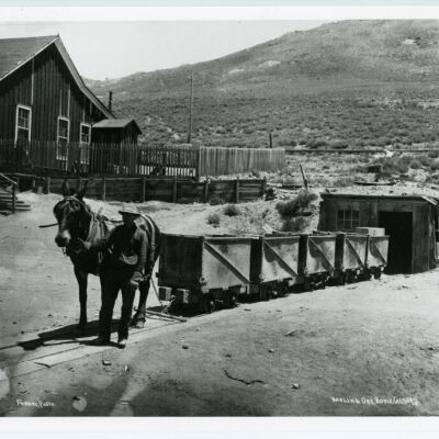Hauling Ore, Bodie Cal.