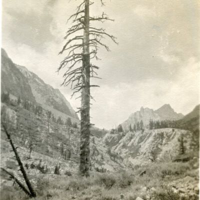 Print, Photographic