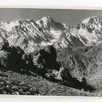 Print, Photographic