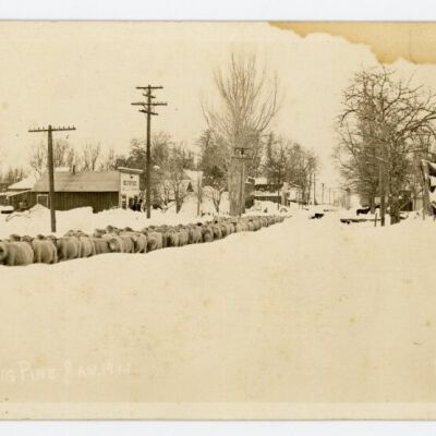 Big Pine, Jan. 191_