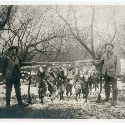 Print, Photographic