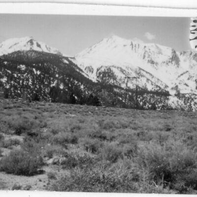 Print, Photographic