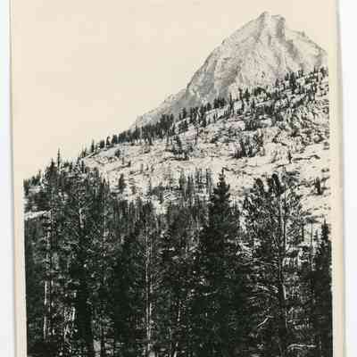 Vidette Meadows, Bubbs Cr.