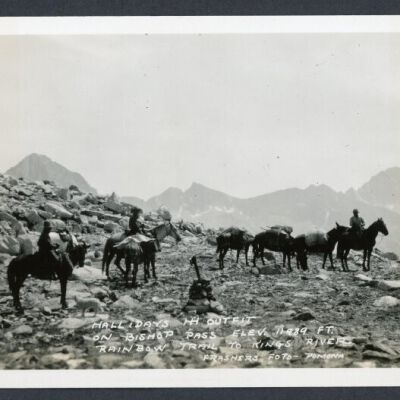 Print, Photographic