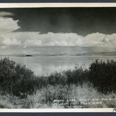 Print, Photographic