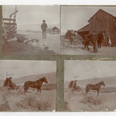 Print, Photographic