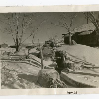 Print, Photographic