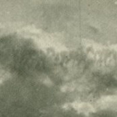 Close-up of the 20 mule team: Resolution: 800 dpi