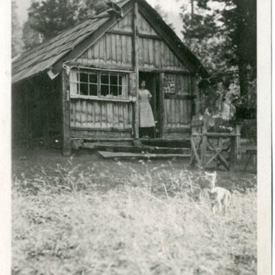Print, Photographic
