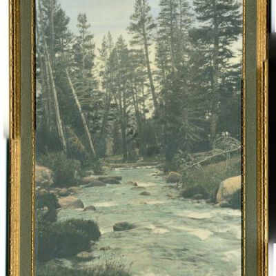 Print, Photographic