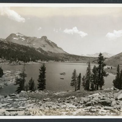 Print, Photographic