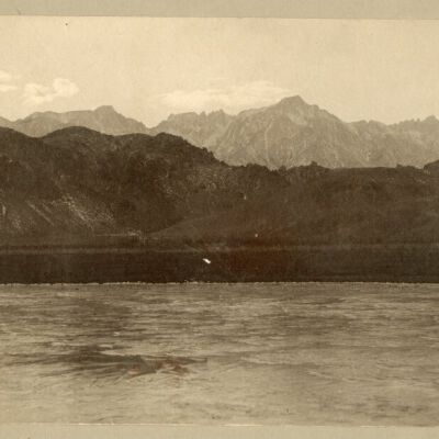 Print, Photographic