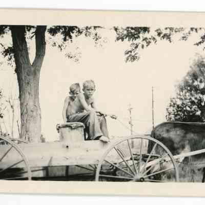 Print, Photographic