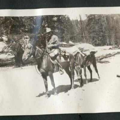 Print, Photographic