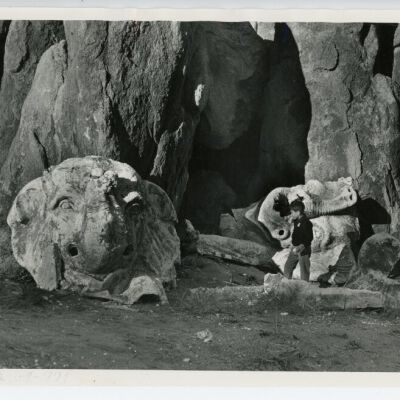 Print, Photographic