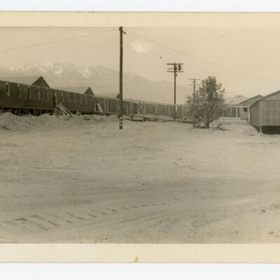 Print, Photographic