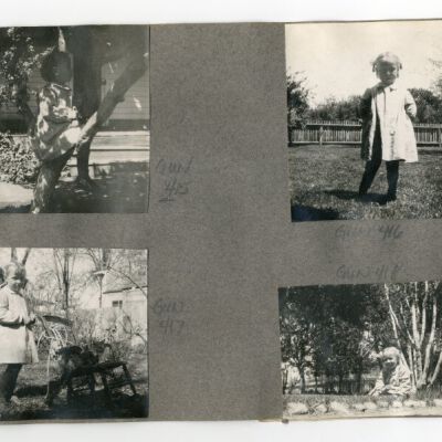Print, Photographic