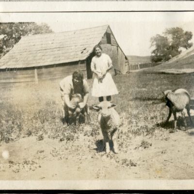 Print, Photographic
