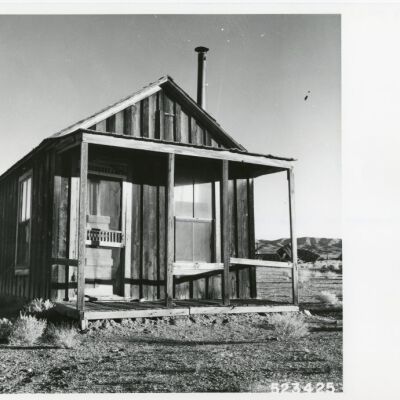 Print, Photographic