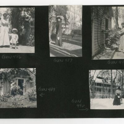 Print, Photographic