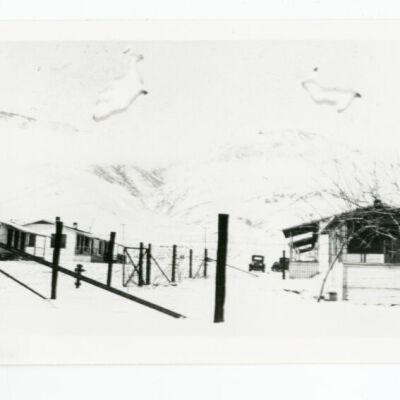 Print, Photographic
