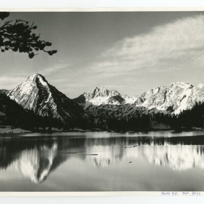 Print, Photographic