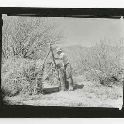 Print, Photographic